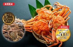 923.【活】鳥取県産　訳あり　良品セコガニ　お試しパック　約500ｇ（2～4枚）《かに カニ 蟹 セコガニ》※2025/11/6～2025/12/29に順次発送予定※着日指定不可  離島不可（北海道、沖縄本島は配送可能） 313726_AL003VC02