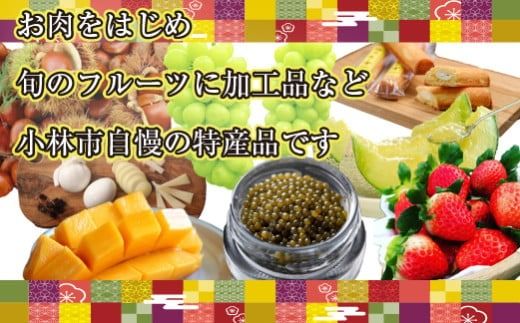 【定期便・全24回】新春おたのしみ お年玉コース 金金金（牛肉 豚肉 鶏肉 フルーツ スイーツ 2026 先行予約 定期便 宮崎 小林市）