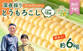 【先行予約 2026年6月中旬以降発送 】【 令和8年産 】【 訳あり 】 深夜採り 朝出荷 とうもろこし （ ゴールドラッシュ ） 約 6kg トウモロコシ スイートコーン コーン 野菜 産地直送 期間限定 岩田さん 昼めし旅 [AX021ya]