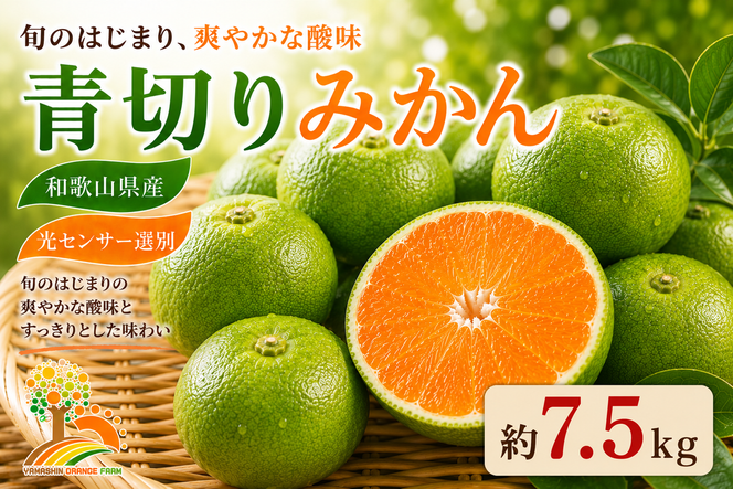 【先行予約】こだわりの青切りみかん 約7.5kg 農家直送 有機質肥料 100% サイズ混合 ｜ みかん 柑橘 果物 くだもの 果実 フルーツ 和歌山 有田