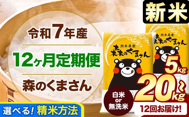 [12ヶ月定期便]新米 令和7年産 白米 無洗米 森のくまさん 5kg 10kg 15kg 20kg[11月から出荷開始] 熊本県産 白米 精米 米 こめ コメ お米 kome---mifune_lcl_415_nov12---