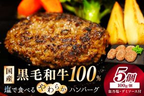 【年末（12月27日～30日）配送】塩で食べるやわらかハンバーグ（デミグラスソース付） NH00042_12e