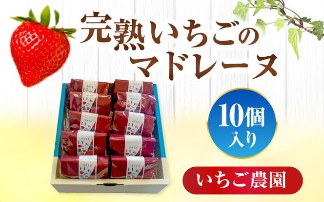 【配達不可：離島】 愛西市産 いちごのマドレーヌ いちご農園 10個入り 洋菓子 イチゴ マドレーヌ 愛西市／エール・ブランシュ[AEAU006]