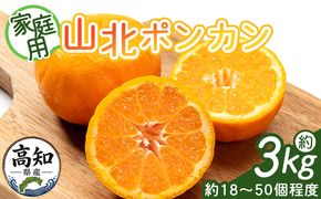 ぽんかん 山北ポンカン 家庭用 3kg(約18～30個程度) - 果物 フルーツ 柑橘類 ぽんかん ミカン 蜜柑 訳アリ わけあり 生産者応援 甘い おいしい 美味しい 山北みらい yk-0082