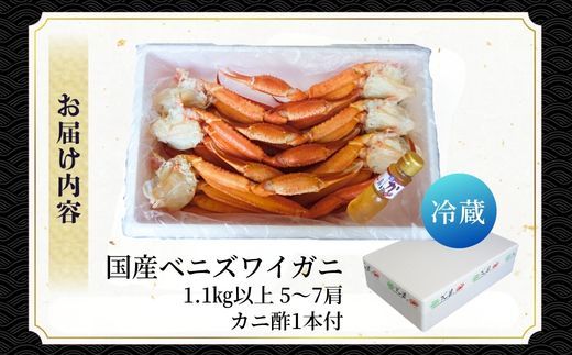 【訳あり 浜茹で 国産ベニズワイガニ 肩 1.1kg以上（5～7肩） カニ酢付き 冷蔵】 国産 ベニズワイガニ ベニ べに 紅 ズワイガニ ずわいがに 訳あり わけあり ワケアリ 茹で ゆで ボイル かにすき カニスキ 焼きがに 焼きガニ かに鍋 カニ鍋 鍋 大人気 人気 おすすめ ふるさと納税 返礼品 兵庫県 香美町 香住 丸近 19-16