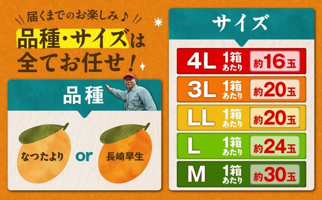 ＜容量選べる＞旬の朝採り！ 鹿児島 桜島産びわ 1～3箱（秀品）　K343-001_SKU