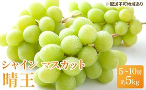 ぶどう 2026年 先行予約 シャイン マスカット 晴王 5房～10房 約5kg ブドウ 葡萄  岡山県産 国産 フルーツ 果物 ギフト 果物類 