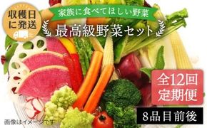 【全12回定期便】【栽培期間中農薬・化学肥料不使用】こだわり 野菜 セット （8品前後） 《糸島》【オーガニックナガミツファーム】 [AGE018] 野菜セット 野菜 やさい サラダ 詰め合わせ トマト とまと 野菜野菜セット 野菜やさい 野菜サラダ 野菜詰め合わせ 野菜トマト 野菜とまと 野菜ベビーリーフ 野菜水菜 野菜ハーブ 野菜オクラ 野菜人参 野菜にんじん 野菜ニンジン 野菜ほうれん草 野菜クレソン 野菜かぼちゃ 野菜カボチャ 野菜じゃがいも 野菜玉ねぎ 野菜#オススメ商品