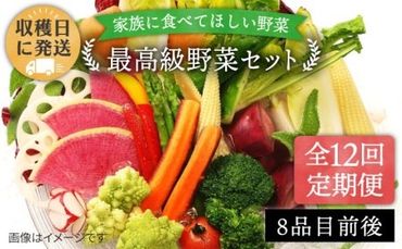 [全12回定期便][栽培期間中農薬・化学肥料不使用]こだわり 野菜 セット (8品前後) [糸島][オーガニックナガミツファーム] [AGE018] 野菜セット 野菜 やさい サラダ 詰め合わせ トマト とまと 野菜野菜セット 野菜やさい 野菜サラダ 野菜詰め合わせ 野菜トマト 野菜とまと 野菜ベビーリーフ 野菜水菜 野菜ハーブ 野菜オクラ 野菜人参 野菜にんじん 野菜ニンジン 野菜ほうれん草 野菜クレソン 野菜かぼちゃ 野菜カボチャ 野菜じゃがいも 野菜玉ねぎ 野菜#オススメ商品