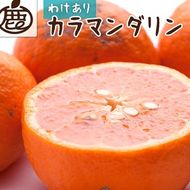 ＜4月より発送＞家庭用 カラマンダリン10kg+250g（傷み補償分）◇【南津海・なつみ】【希少な春柑橘】【わけあり・訳あり】【みかんと同じように食べられます】
