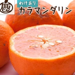 ＜4月より発送＞家庭用 カラマンダリン10kg+250g（傷み補償分）◇【南津海・なつみ】【希少な春柑橘】【わけあり・訳あり】【みかんと同じように食べられます】