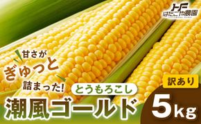 ［おいしさそのまま］訳アリ 潮風ゴールド 5kg 1セット とうもろこし トウモロコシ ゴールドラッシュ 黄色 潮風ゴールド スイートコーン 茹でとうもろこし BBQ 焼き肉 白浜町 304018_ET05