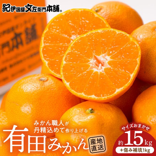 V7440_【2026年先行予約】有田みかん 約15kg(+傷み補填分1kg)=合計16kg【サイズおまかせ】 / 産地直送 / 紀伊国屋文左衛門本舗（お届け日指定不可）
