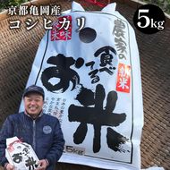 令和7年産 コシヒカリ 5kg ≪米 コメ 白米 京都 丹波 こしひかり 数量限定≫ ※2025年10月以降に順次発送予定