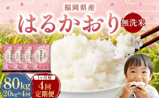 【 1ヶ月毎4回定期便 】 【 無洗米 】 はるかおり 20kg （ 5kg × 4袋 ） 計80kg お米 米 こめ コメ 白米 白飯 飯 ご飯 おにぎり 和食 国産 福岡県産 定期 定期配送