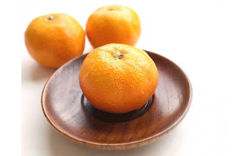 BF6057_【2026年先行予約】ハウスみかん 二種 食べ比べ 4パック 【ミカン 蜜柑 柑橘 温州みかん 有田みかん ハウスミカン 和歌山】