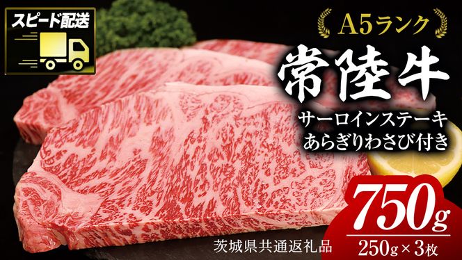 【 スピード発送 】 【常陸牛 】 A5 等級 サーロイン ステーキ 250g × 3枚（ 合計 750g ） あらぎり わさび 1本付 ( 茨城県共通返礼品 ) 黒毛和牛 国産 お肉 肉 A5ランク ブランド牛 牛肉 ひたち牛 ブランド和牛 ステーキ用 ワサビ付 山葵 焼肉 焼き肉 バーベキュー BBQ 化粧箱 ギフト