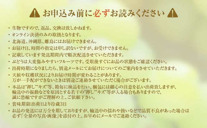 【2026年 先行予約】【訳あり品】 瀬戸ジャイアンツ 4～5房 合計約2kg 常温配送 ぶどう 葡萄 フルーツ 果物 岡山 岡山のぶどう 食後 デザート 産地直送 皮ごと 酸味が少ない 爽やか 甘い 