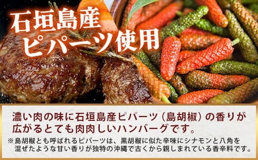 石垣島産 黒毛和牛 生ハンバーグ 120g x 10個 【沖縄 石垣 石垣島産 黒毛和牛 和牛 ハンバーグ】 UN-2