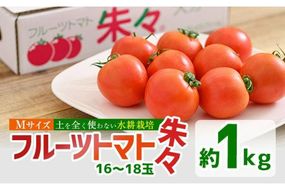 フルーツトマト 朱々 Mサイズ (計1kg・16-18玉) M 高糖度 糖度 フルーツトマト トマト 野菜 サラダ 大分県 佐伯市 九州産 国産 大分県 佐伯市【CH63】【サニープレイス】