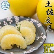 ＜先行予約 2026年2月上旬より順次発送＞高知県産土佐文旦家庭用小玉商品10kg
