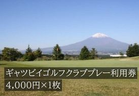 C19ギャツビイゴルフクラブプレー利用券　１枚