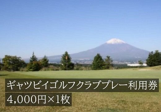 C19ギャツビイゴルフクラブプレー利用券　１枚