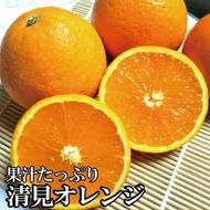 ＼光センサー選別／ 【農家直送】果汁たっぷり！清見オレンジ 約5kg 有機質肥料100%　 サイズ混合　※2026年3月上旬より順次発送予定（お届け日指定不可）【nuk112B】