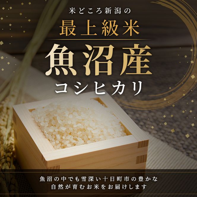 【3か月定期便】魚沼産コシヒカリ10kg(5kg×2)