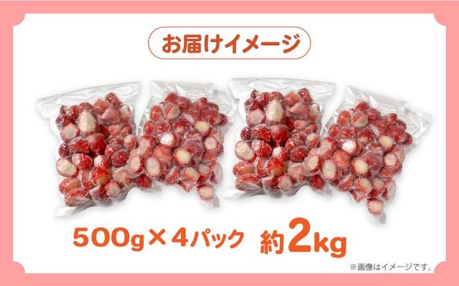 【2026年3月～発送】【訳あり】【数量限定】冷凍 カットいちご「恋みのり」 加工用 約600g×4P / 冷凍 いちご イチゴ 苺 フルーツ 冷凍フルーツ ジャム / 南島原市 / あゆみfarm [SFF005]
