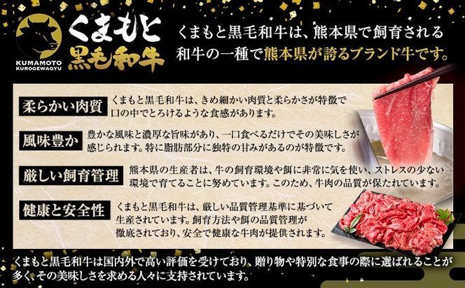 くまもと黒毛和牛 ウデ・モモスライス 選べる 500g 1000g 1500g 2000g 牛肉 冷凍 《30日以内に出荷予定(土日祝除く)》 くまもと黒毛和牛 黒毛和牛 冷凍庫 個別 取分け 小分け 個包装 モモ スライス 肉 お肉 しゃぶしゃぶ肉 すきやき肉 すき焼き---oz_fudmm_30d_r7_11000_500g---