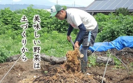 ［年6回定期便］ 農薬・化学肥料を使わずに栽培した野菜年6回定期便 OBUSE Meguru 野菜セット シーズンコース［おぶせファーマーズ］おまかせ 野菜 やさい 詰め合わせ 8～12種類 長野 信州 数量限定 産地直送 令和7年産 【2025年5～6月より順次発送】 ［FY-5］