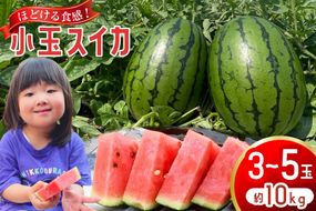 AJ462 【令和8年度出荷分】 Farm honda 小玉スイカ 3～5玉 約10kg [ 先行予約 数量限定 小玉 スイカ 西瓜 フルーツ 果物 長崎 長崎県 島原市 ]