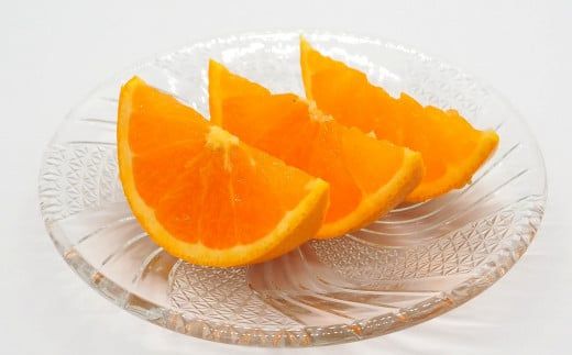 【濃厚】有田産清見オレンジ約5kg（サイズおまかせ 青秀以上） ※2027年2月中旬～2027年3月中旬頃発送予定（お届け日指定不可） / くだもの フルーツ 柑橘 オレンジ 清見オレンジ 和歌山 みかん【tec958】