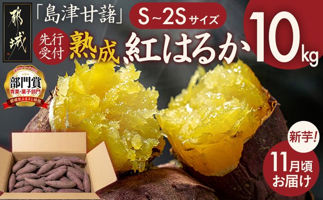 先行受付!【11月お届け】島津甘藷　熟成紅はるか 10kg(S～2S)_12-A7-001-10kg-m-11