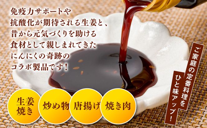 生姜焼きのたれ 2本セット しょうが 生姜 ショウガ ジンジャー 豚肉 おかず 料理 夕飯 夕食 晩ごはん 味付 調味料 たれ タレ お弁当 生姜焼き しょうが焼き 炒め物 焼肉のタレ 熊本 八代