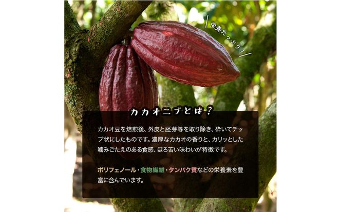 カカオニブ500g×2袋セット 【kw0090-0017】