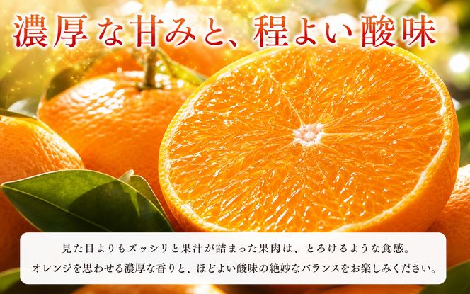 とろける食感！ジューシー柑橘　せとか　約3kg【予約】※2027年2月下旬頃〜2027年3月中旬頃発送(お届け日指定不可)【uot506A】