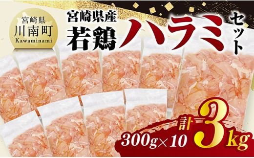 宮崎県産若鶏 ハラミ3kg(300g×10) [ 鶏肉 鶏 ハラミ 肉 宮崎県産 小分け パック 送料無料 ] [C11605]