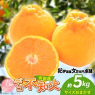 【2027年先行予約】デコ 不知火 約5kg 和歌山県有田産 春みかん (果実サイズおまかせ) 春みかん 紀伊国屋文左衛門本舗_V7412