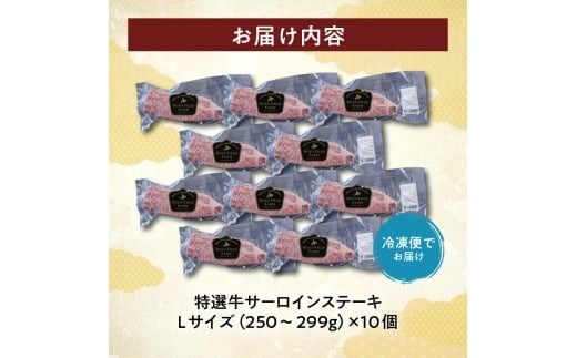 十勝スロウフード 厳選 特選牛サーロインステーキ Lサイズ10枚セット！北海道十勝 清水町 ステーキ 牛肉 サーロインステーキ サーロイン 牛 肉_S006-0012