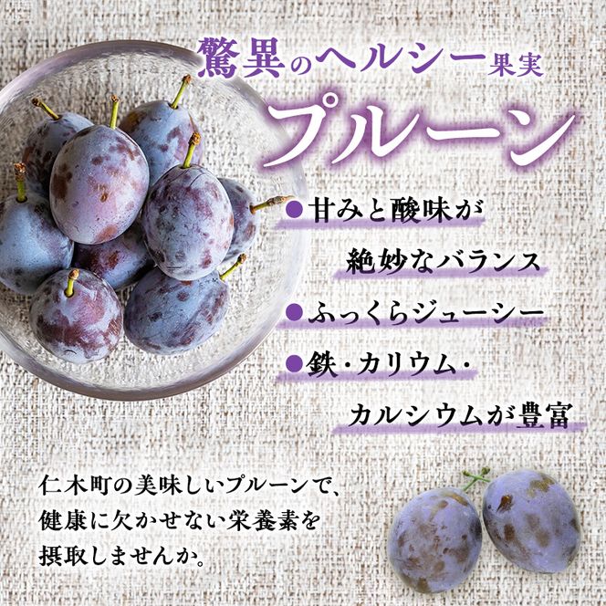 [先行受付] 【9月発送】北海道 仁木町産 おすすめプルーン1.6kg（400g×4パック） 果物類 果物 くだものフルーツ 果物詰合せ プルーン [和田農園]