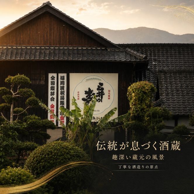 定期便 3回 三井の寿 純米吟醸 山田錦 +14大辛口 1800ml 酒 お酒 3ヶ月