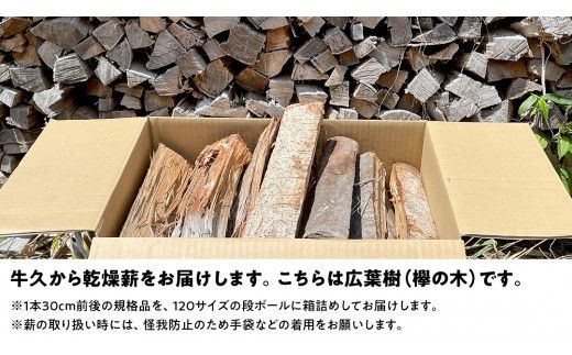 牛久市産 乾燥 薪 欅 ( けやき ) 約14kg～16kg 天然木 マキ 乾燥薪 広葉樹 キャンプ アウトドア 焚火 焚き火 薪ストーブ 暖炉 たき火 野外 屋外 バーベキュー薪 ピザ窯の薪 グリル焼 [DP009us]