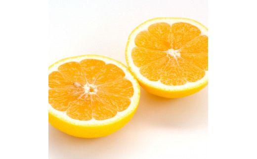 【先行予約】自然の味をそのままに旨味の塊ハウス小夏約5kg〈2027年4月下旬から発送開始〉/高知県土佐市産 小夏 コナツ 果物 柑橘 フルーツ みかん ハウス 小夏 ５キロ 新鮮 産地直送 美味しい おいしい 厳選 高知県土佐市/やの一果彩[BQAC037]