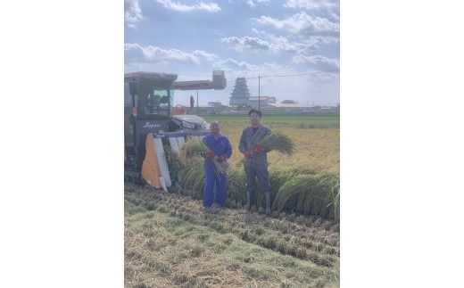 令和7年産 精米 コシヒカリ 10kg 茨城県常総市産