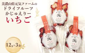美濃山県元気ファームのドライフルーツかじゅえりー　いちご  [No.1102]