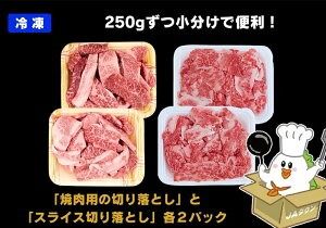 【ふるさと納税】但馬牛 がっせぇ盛り（スライス＆焼肉用・1kg）250g 2種 各2パック 合計4パック 小分け 肉 牛肉 お肉 スライス 薄切り 食べ比べ セット 赤身 バラ バラ肉 ばら 国産 黒毛和牛 和牛 焼肉 焼き肉 BBQ お取り寄せ 冷凍 兵庫県 新温泉町 送料無料