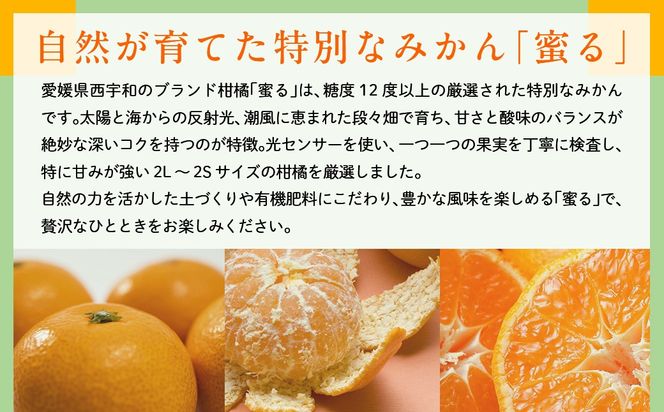 JAにしうわ みつる共選 「蜜る」2.5kg（2S～2L）※離島への配送不可（2025年11月中旬より順次発送予定） IKTBC003
