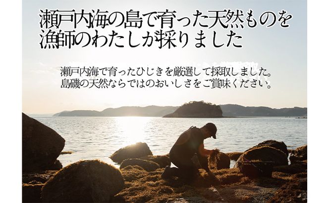 生炊きだからおいしい 瀬戸内 ひじき 28g×12袋 エビス水産【岡山 瀬戸内海 鉄釜炊 生炊 天然 乾燥】 ミネラル マグネシウム 健康志向 